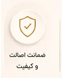 ضمانت دیبست