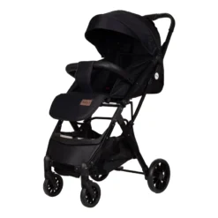 کالسکه مسافرتی